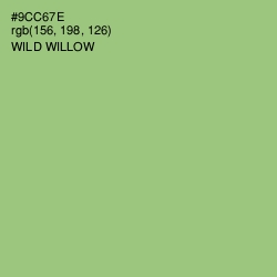 #9CC67E - Wild Willow Color Image